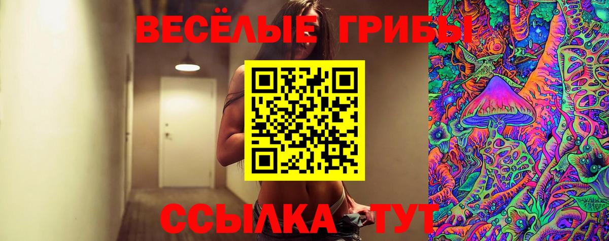 Тула  Галлюциногенные грибы Magic Shrooms  Вход с VPN 
