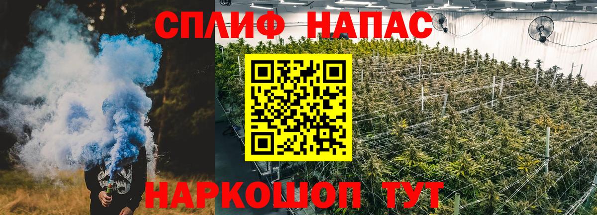 Конопля гибрид Тула
